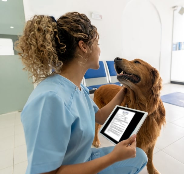 Vets Choice is your X-RAY triage partner.