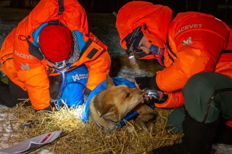 5 Tips for Working Overnight Shifts Vets Choice Radiology