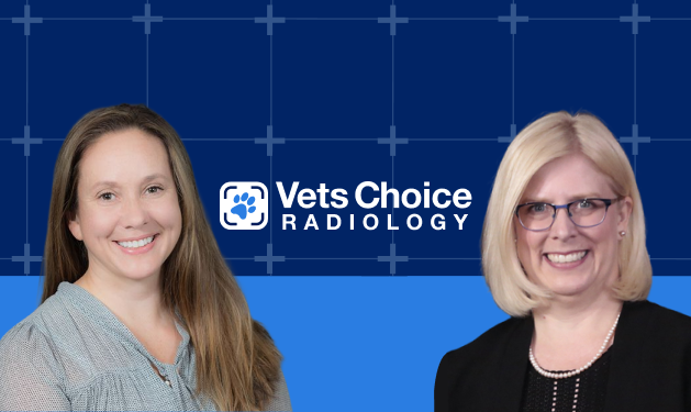 Vets Choice Radiology Restructures Medical Board, Elevates Dr. Stephanie Nykamp to Chair and Appoints Dr. Jane Lund as Chief Medical Officer